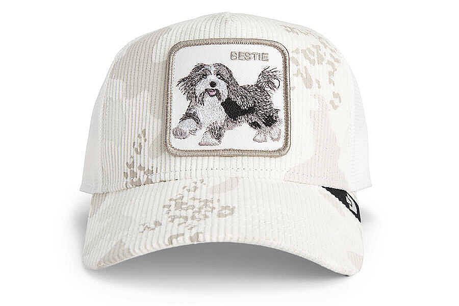 Goorin Bros. Bestie Camo ( Teriyer Köpek ) 101-2247 Şapka - 1