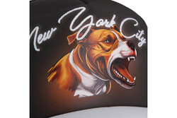Goorin Bros. Concrete Habitat - NYC ( Newyork Cityy Nakış ,Pitbul Figür ) 101-2654 Şapka - Thumbnail