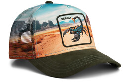 Goorin Bros. Scorpion In The Element ( Akrep Figür ) 101-2695 Şapka - Thumbnail