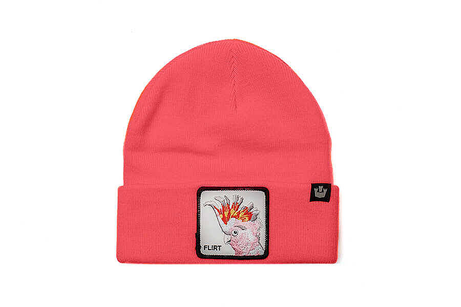 Goorin Bros. Snow Bird ( Kakudu Papağan Figürlü ) Bere 107-0044 - 1