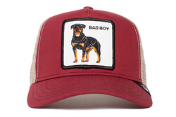 Goorin Bros. The Baddest Boy ( Rottweiler Köpek Firgürlü ) Şapka 101-0493 - Thumbnail
