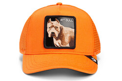 Goorin Bros. The Dog Pitbull ( Köpek Figürlü ) Şapka 101-1676 - Thumbnail