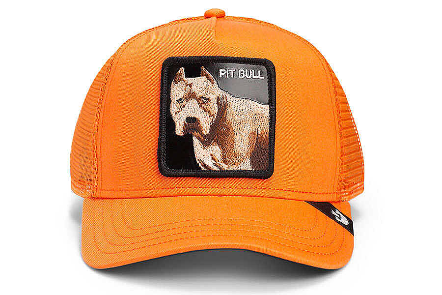 Goorin Bros. The Dog Pitbull ( Köpek Figürlü ) Şapka 101-1676 - 13