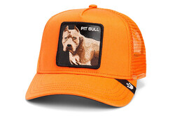 Goorin Bros. The Dog Pitbull ( Köpek Figürlü ) Şapka 101-1676 - Thumbnail
