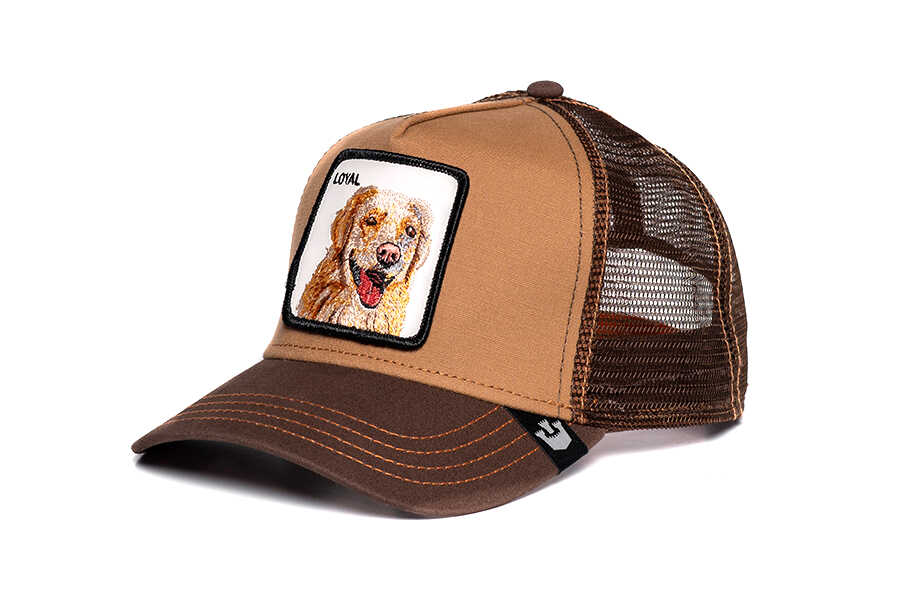 Goorin Bros . The Loyal Dog ( Golden Köpek Figürlü ) Şapka 101-0505