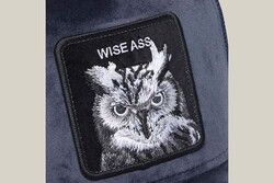 Goorin Bros. Velour Wise Ass ( Baykuş Figürlü ) Şapka 101-3678 - Thumbnail